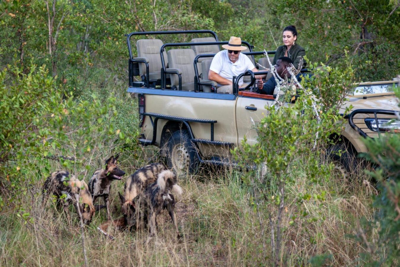 Leopard Hills Private Game Reserve Sabi Sand Game Reserve Dış mekan fotoğraf