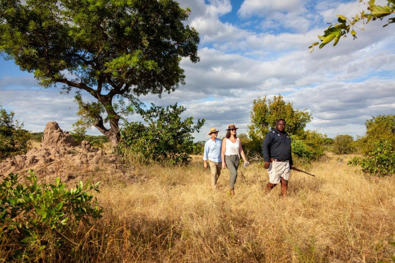Leopard Hills Private Game Reserve Sabi Sand Game Reserve Dış mekan fotoğraf