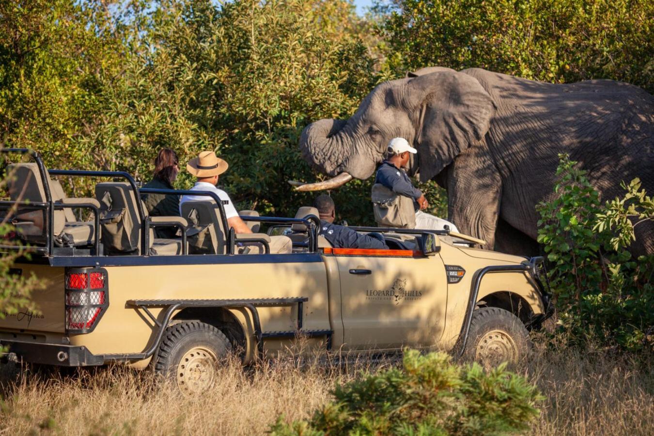 Leopard Hills Private Game Reserve Sabi Sand Game Reserve Dış mekan fotoğraf