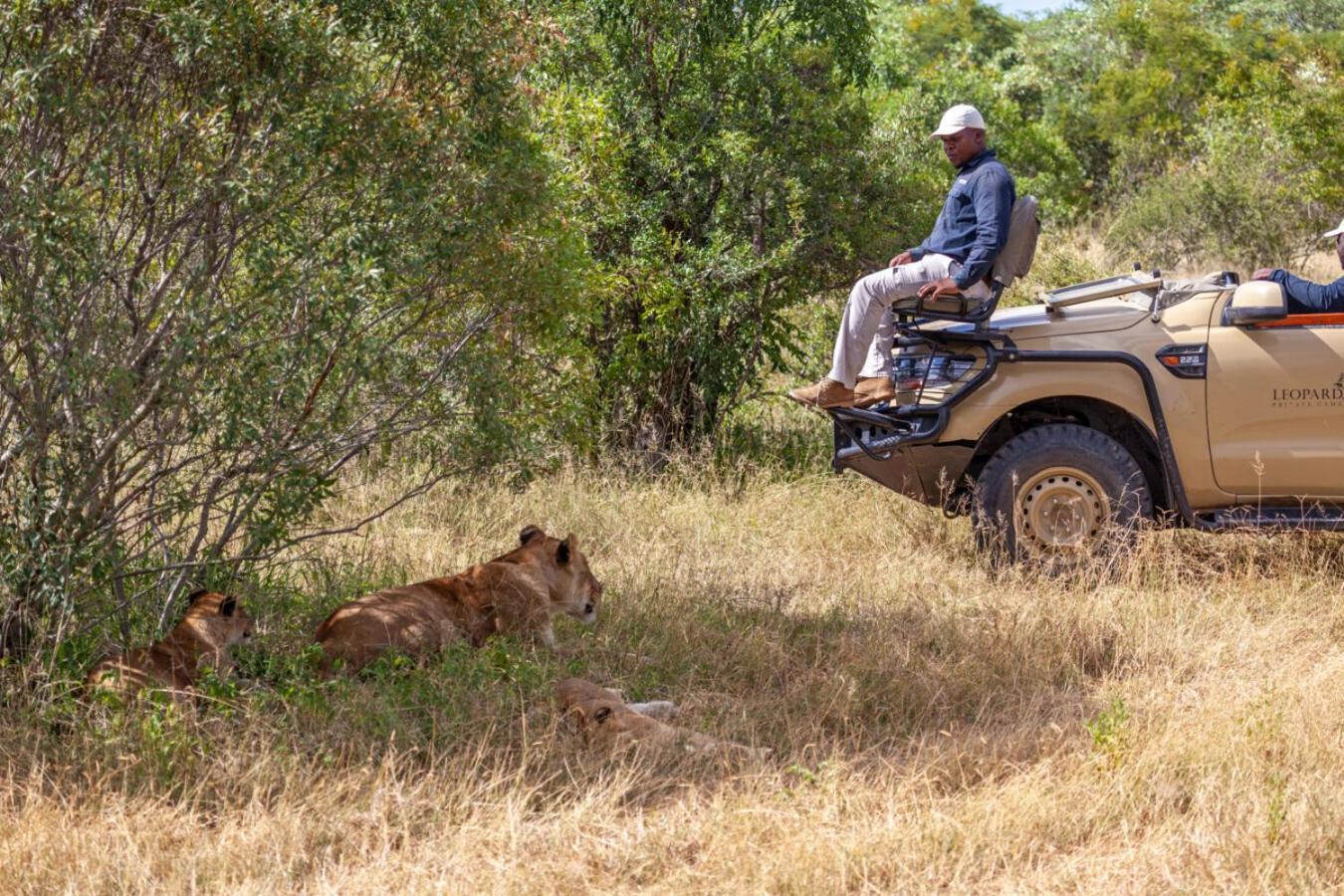 Leopard Hills Private Game Reserve Sabi Sand Game Reserve Dış mekan fotoğraf