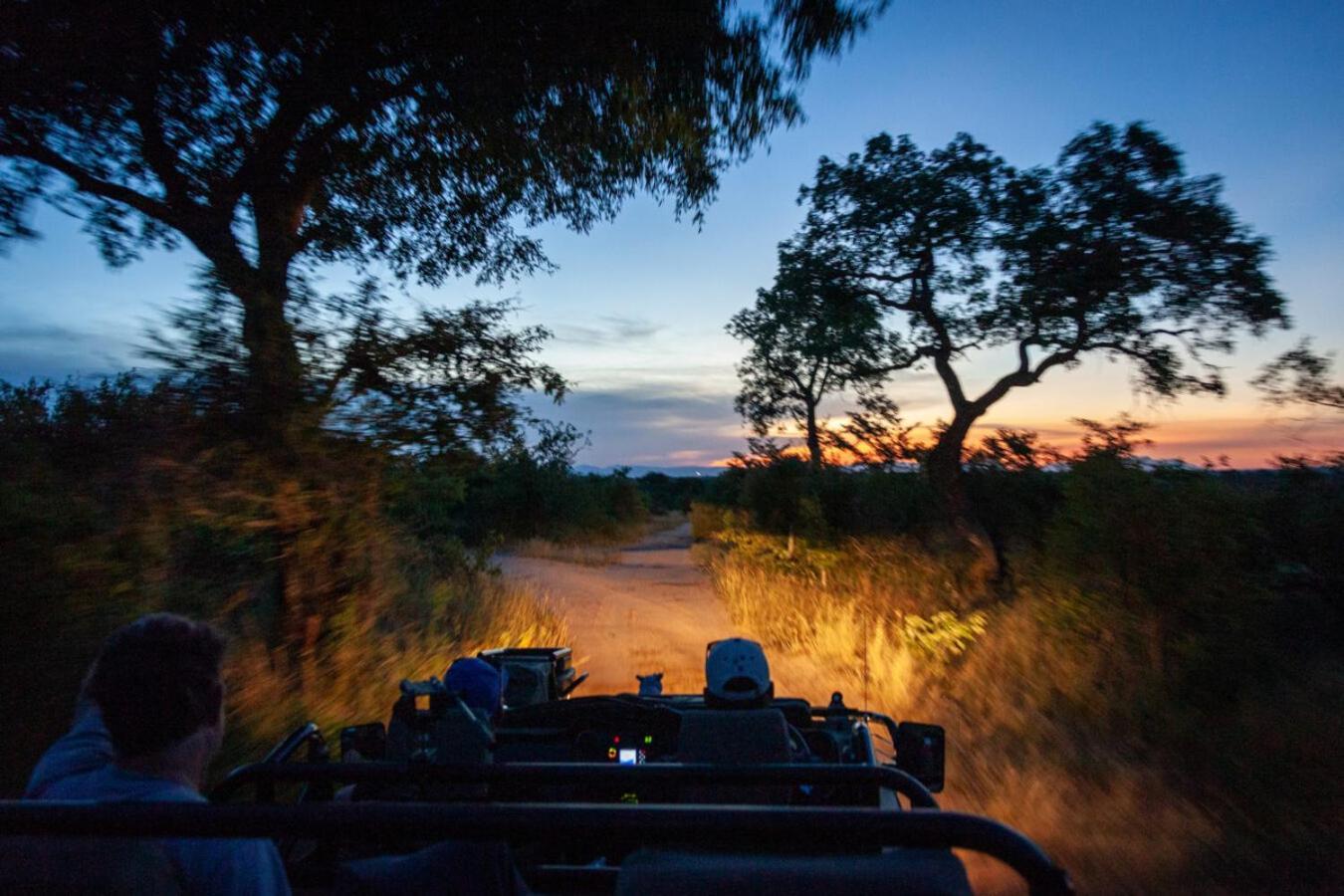 Leopard Hills Private Game Reserve Sabi Sand Game Reserve Dış mekan fotoğraf