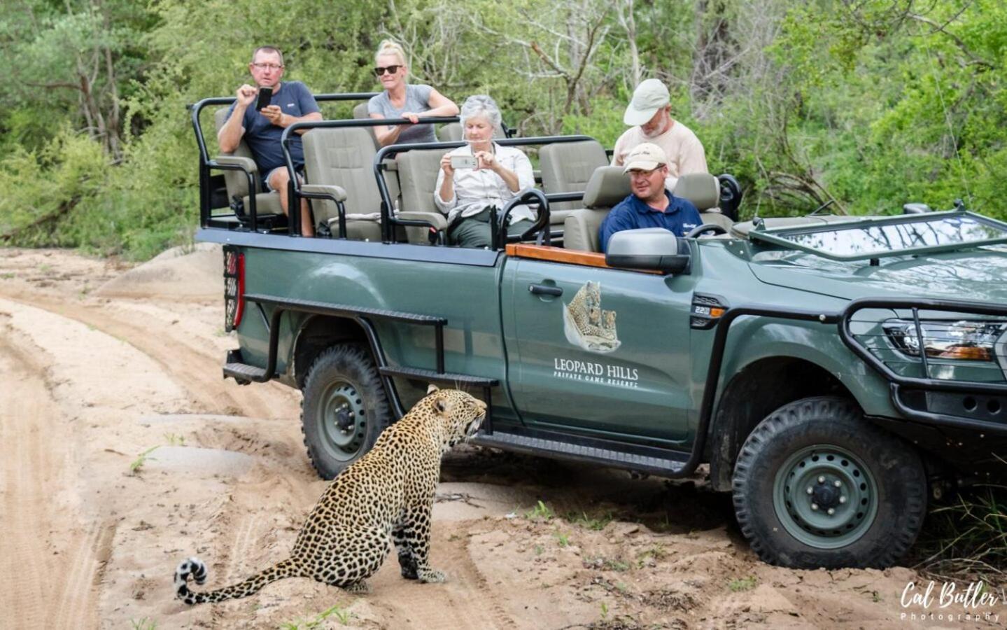 Leopard Hills Private Game Reserve Sabi Sand Game Reserve Dış mekan fotoğraf